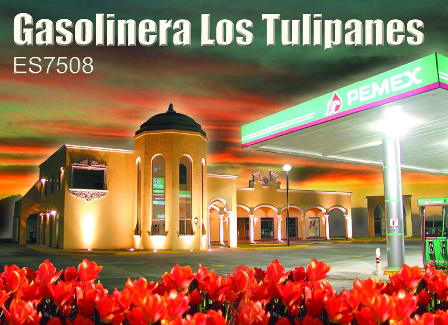 Pemex Tulipanes
